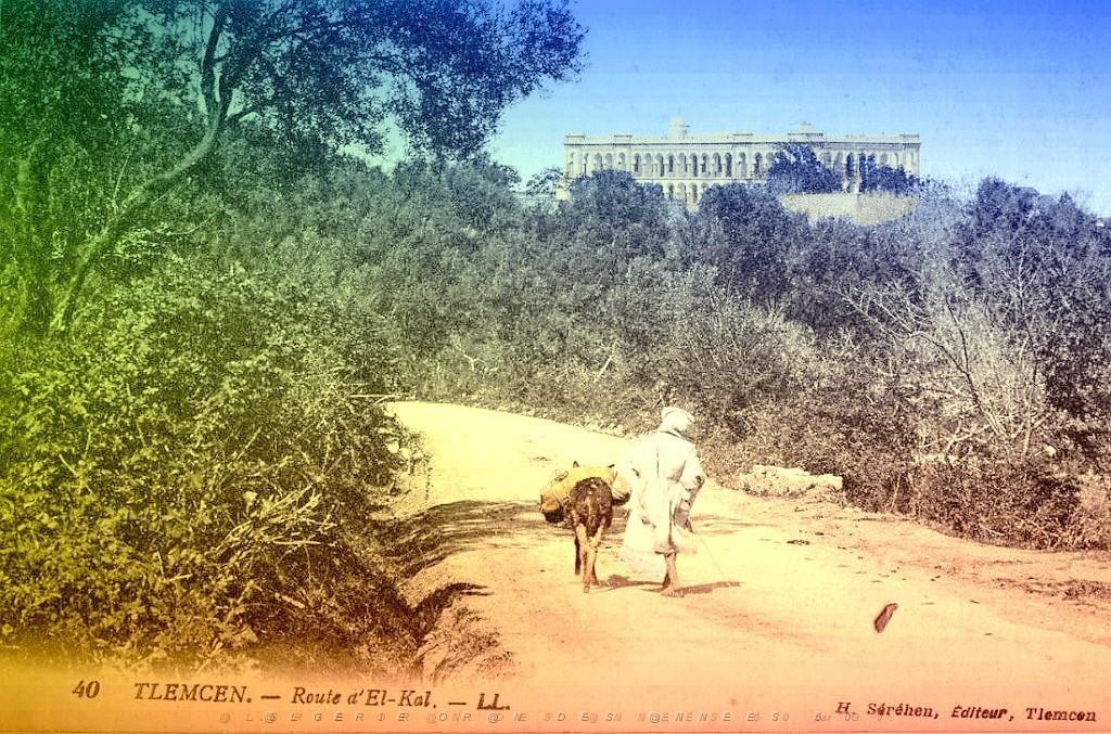 Tlemcen 215- Collection Montaner.jpg